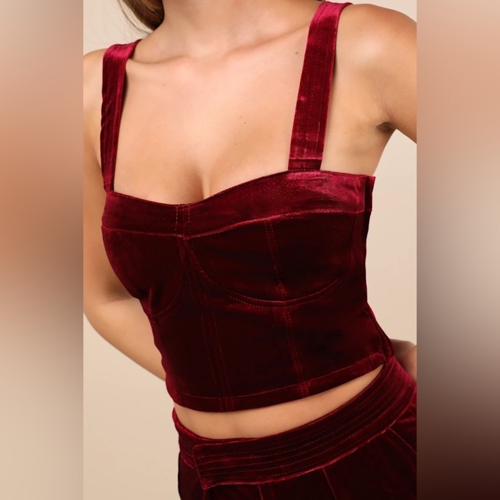 *NWT* Blank NYC Sneak Peak Burgundy Velvet Bustier Crop Top